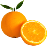 img_13.png
